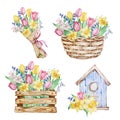 Set Of Watercolor Compositions Spring Flowers, Basket, Birdhouse, Box