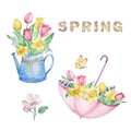 Set of watercolor compositions spring flowers, watering can, umbrella with tulips Royalty Free Stock Photo