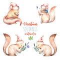 Set of watercolor cute Christmas squirrels illustrations