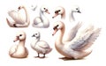 set of watercolor cute Swan isolated on white background, generative ai Royalty Free Stock Photo