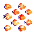 Set of watercolor discus fish