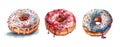 Set of watercolor donut illustrations. Donuts with chocolate, pink, blue, white toppings. Watercolor illustration