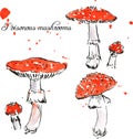Set of watercolor drawing poisonous mushrooms