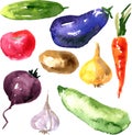 Set of watercolor drawing vegetables