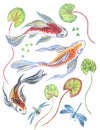 A set of watercolor drawings: koi fish, dragonflies and plants. Royalty Free Stock Photo