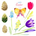 Set of watercolor elements, eggs, branches, butterfly Royalty Free Stock Photo