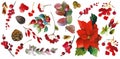 A set of watercolor elements isolated on a white background: cones, branches, branches of a Christmas tree, berries, wild rose.