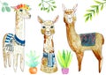 Set of watercolor elements llama, cacti, branches