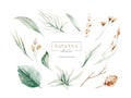 Set watercolor elements of savanna gold flowers collection garden red, burgundy flower, leaves, branches, Botanic Royalty Free Stock Photo