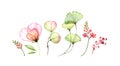 Set watercolor elements of transparent rose, freesia and leaves. Collection og pink flowers, berries, branches. Botanic