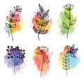 Set watercolor elements - wildflower, herbs, leaf. collection garden, wild foliage, flowers, branches. illustration isolated on Royalty Free Stock Photo