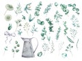 Set of watercolor eucalyptus long and round leaves and branches
