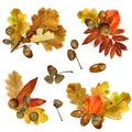 Set of watercolor fall leaves arrangements. Collection of natural hand drawn prints with autumn folliage and acorns