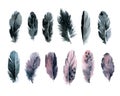 Set watercolor feathers black and pink Royalty Free Stock Photo