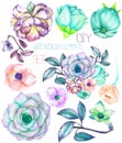 A set with the watercolor floral elements: succulents, flowers, leaves and branches Royalty Free Stock Photo