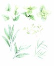 Set watercolor flowers background