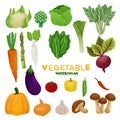 Set of Watercolor Fresh Vegetable clipart.