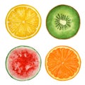 Set of watercolor fruits and watermelon, paint texture, vector
