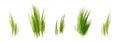 Set of Watercolor green lush grass for spring or summer decoration. Tufts of fresh plants in close up isolated on white. Royalty Free Stock Photo