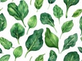 set of watercolor green spinach leaf, hand drawn illustration