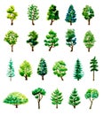 Set of watercolor hand drawn different trees