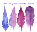 Set of watercolor hand drawn feathers Royalty Free Stock Photo