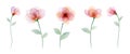 Set watercolor hand painted with colourful flower Royalty Free Stock Photo