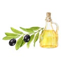 A set of watercolor illustrations, a branch with ripe olives and a glass bottle with olive oil Royalty Free Stock Photo