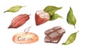 Set of watercolor illustrations of cocoa beans, cocoa leaves, dark chocolate, wooden plate on a white background.