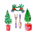 Set of watercolor illustrations, garden theme, seedlings and tools, shovel, gardening gloves, hoe, seedlings, bushes