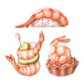 Set of watercolor illustrations of Japanese food.