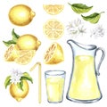 Set of watercolor illustrations lemons with green leaves and flowers, glass jug and glass with lemonade and cocktail