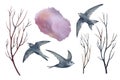 Set of watercolor illustrations of tree branches, swifts, birds and watercolor stains. Hand drawn elements isolated