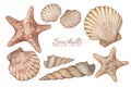 Set with watercolor illustrations of vintage seashells isolated on white background. Marine collection.