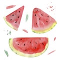 Set of watercolor illustrations: watermelon, watermelon slices, - hand-drawn in watercolor. Royalty Free Stock Photo