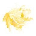 Set of watercolor illustrations of yellow citrus lemon fruits. Hand painted. on a white background. for kitchen textile