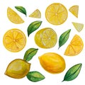 Set of watercolor juicy lemon and leaves, mediterranean illustration for design. Royalty Free Stock Photo