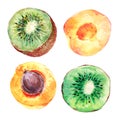 Set of watercolor kiwi fruit and apricots