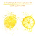 Set of watercolor lemon vector illustration. Splashed hand draw lemons isolated on white background, art vector citrus