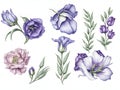 set of watercolor lisianthus on white background, generative ai Royalty Free Stock Photo