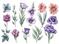 set of watercolor lisianthus on white background, generative ai Royalty Free Stock Photo