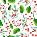 Set of watercolor mistletoe and holly berry