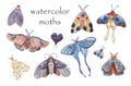 Set of watercolor moths. Gothic illustration