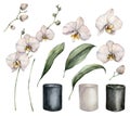 Set of watercolor orchids and pots. Hand painted tropical white flowers, branches, leaves and ceramic pots isolated on