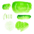 Set of watercolor organic food labels. Eco product Royalty Free Stock Photo
