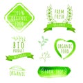 Set of watercolor organic food labels. Eco product Royalty Free Stock Photo