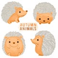 Set of watercolor painted Hedgehog, Autumn Animal, Wildlife clipart. Hand drawn isolated on white background.