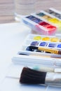 Set of watercolor paints with brushes Royalty Free Stock Photo