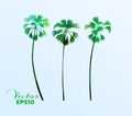 Set of watercolor palm trees . Coconut plant isolated. Vector illustration Royalty Free Stock Photo