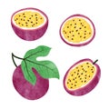 Set of watercolor passion fruit isolated on white.